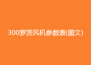 300羅茨鼓風(fēng)機(jī)參數(shù)型號(hào).jpg